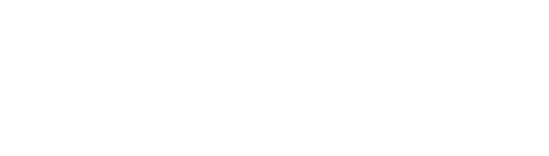 Global Service S.r.l.