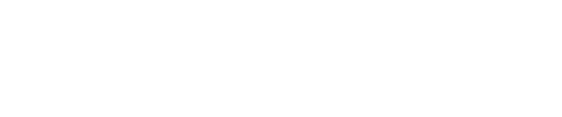 New Service Solution S.r.l.